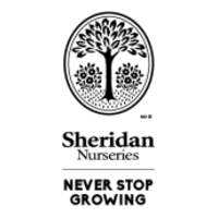 Never Stop Growing Logo