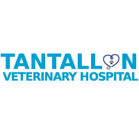 Tantallon Vet Hospital logo