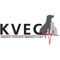 Kawartha Veterinary Emergency Clinic (KVEC)