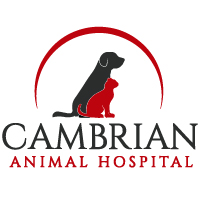 Cambrian Animal Hospital logo
