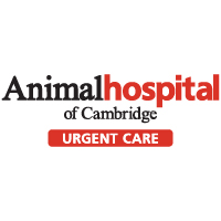 Animal Hospital of Cambridge