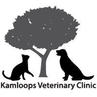 Kamloops logo