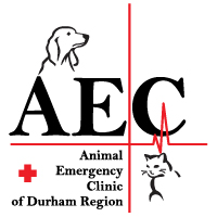 Animal Emergency Clinic of Durham Region