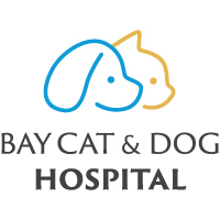 Bay Cat Hospital | Bay Dog Hospital