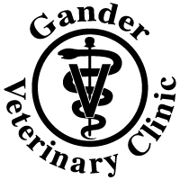 Gander Veterinary Clinic