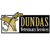 Dundas Veterinary Services logo