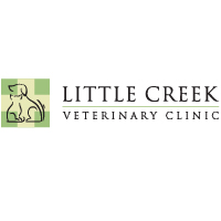 Little Creek logo