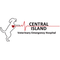 Central Island logo